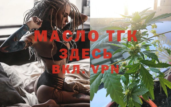 спайс Ельня
