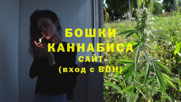 спайс Ельня