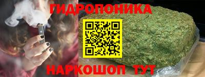 прущие грибы Балахна