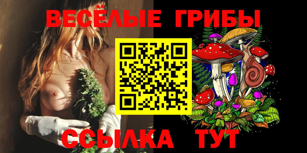 Березники  где продают   Вход с VPN  Галлюциногенные грибы MAGIC MUSHROOMS 