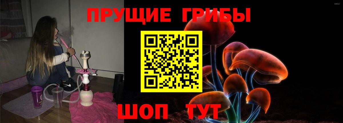 Галлюциногенные грибы Cubensis Березники